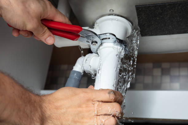 Best Basement water damage restoration  in Parks, AZ