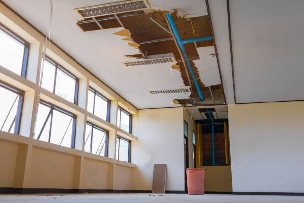 Best Mold removal after water damage  in Parks, AZ