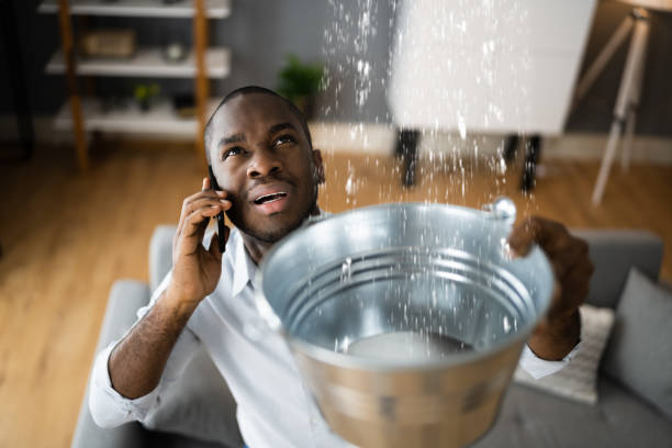 Trusted Parks, AZ Water damage restoration Experts
