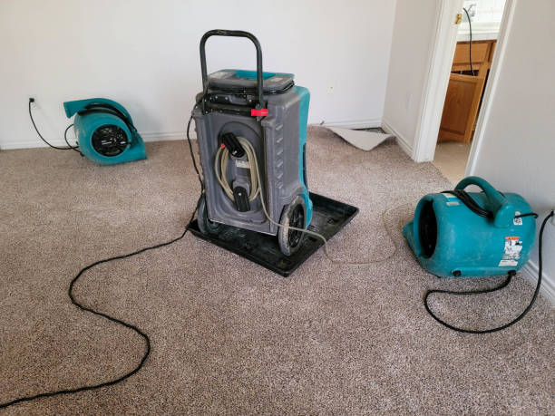 Best Emergency water damage restoration  in Parks, AZ