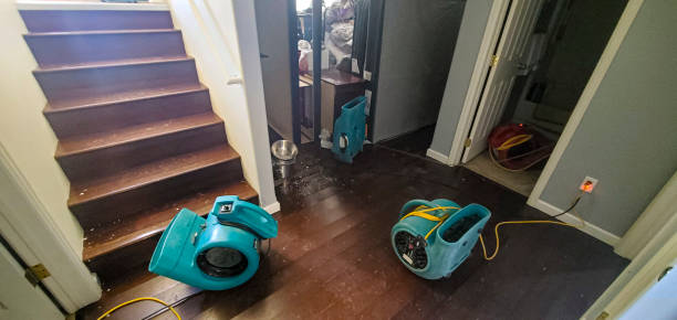 Best Water damage contractors near me  in Parks, AZ