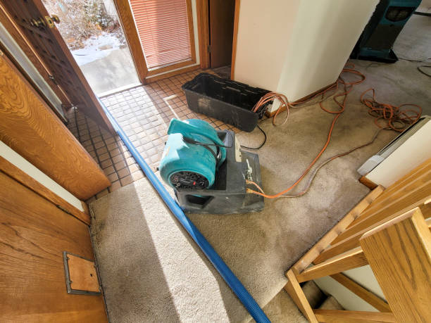 Best Commercial water damage restoration  in Parks, AZ