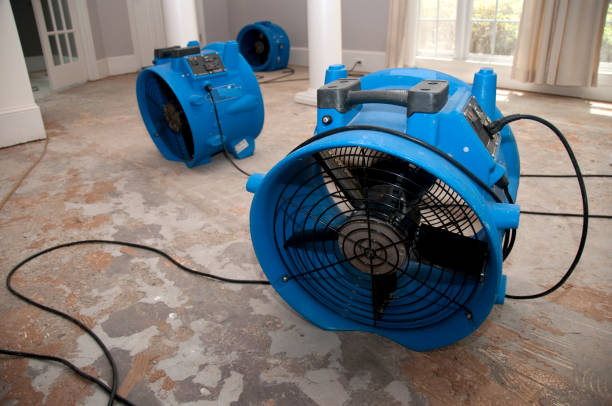 Best Sewage cleanup and water damage restoration  in Parks, AZ