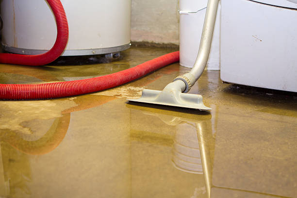 Best Water damage cleanup near me  in Parks, AZ