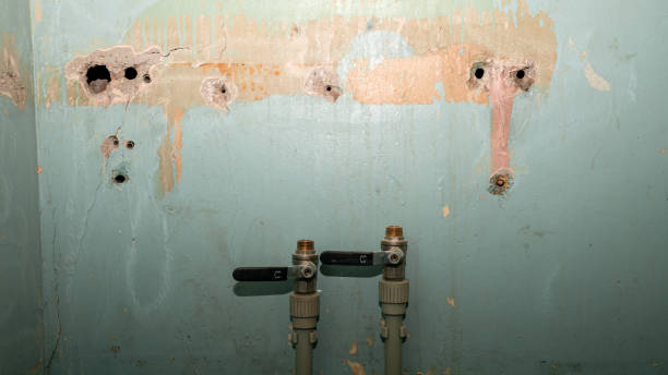 Best Fire Damage Restoration  in Parks, AZ