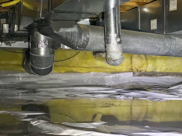 Best Water damage restoration near me  in Parks, AZ