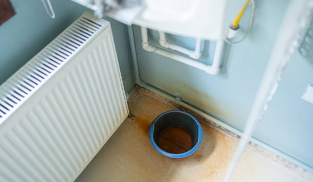 Best Local water damage restoration  in Parks, AZ