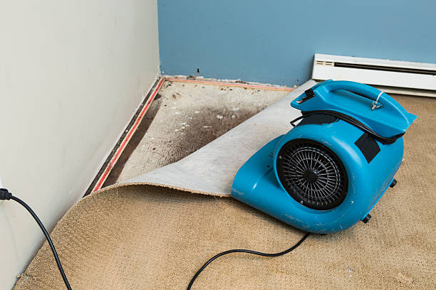 Best 24/7 water damage repair  in Parks, AZ